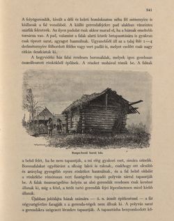 Bild der Seite - 341 - in Az Osztrák-Magyar Monarchia írásban és képben - Bukovina, Band 20