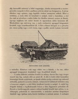 Bild der Seite - 343 - in Az Osztrák-Magyar Monarchia írásban és képben - Bukovina, Band 20