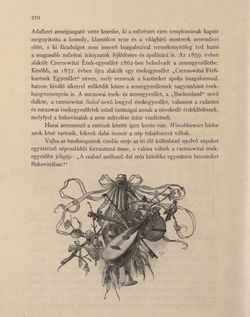 Bild der Seite - 370 - in Az Osztrák-Magyar Monarchia írásban és képben - Bukovina, Band 20