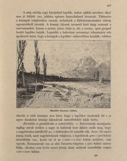 Image of the Page - 467 - in Az Osztrák-Magyar Monarchia írásban és képben - Bukovina, Volume 20