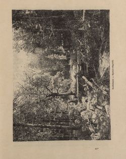 Image of the Page - 483 - in Az Osztrák-Magyar Monarchia írásban és képben - Bukovina, Volume 20