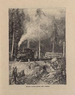 Image of the Page - 495 - in Az Osztrák-Magyar Monarchia írásban és képben - Bukovina, Volume 20