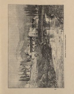 Bild der Seite - 499 - in Az Osztrák-Magyar Monarchia írásban és képben - Bukovina, Band 20