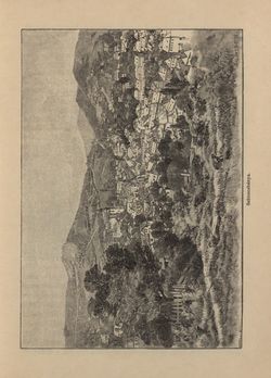 Bild der Seite - 79 - in Az Osztrák-Magyar Monarchia írásban és képben - Magyarország V (II), Band 21