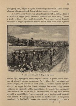 Image of the Page - 89 - in Az Osztrák-Magyar Monarchia írásban és képben - Magyarország V (II), Volume 21