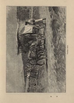 Bild der Seite - 145 - in Az Osztrák-Magyar Monarchia írásban és képben - Magyarország V (II), Band 21