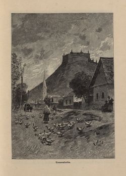 Image of the Page - 157 - in Az Osztrák-Magyar Monarchia írásban és képben - Magyarország V (II), Volume 21