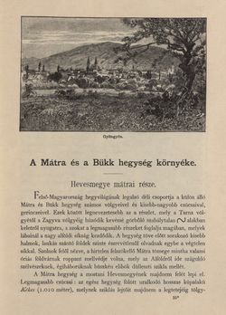Bild der Seite - 195 - in Az Osztrák-Magyar Monarchia írásban és képben - Magyarország V (II), Band 21