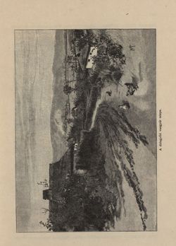 Image of the Page - 229 - in Az Osztrák-Magyar Monarchia írásban és képben - Magyarország V (II), Volume 21