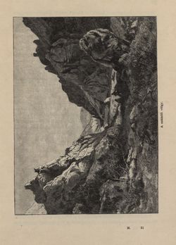 Image of the Page - 241 - in Az Osztrák-Magyar Monarchia írásban és képben - Magyarország V (II), Volume 21