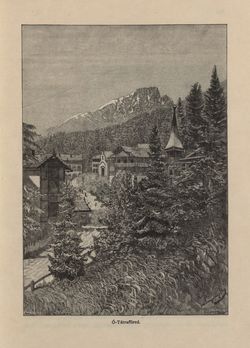 Bild der Seite - 293 - in Az Osztrák-Magyar Monarchia írásban és képben - Magyarország V (II), Band 21