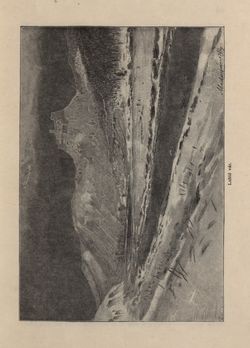 Image of the Page - 303 - in Az Osztrák-Magyar Monarchia írásban és képben - Magyarország V (II), Volume 21