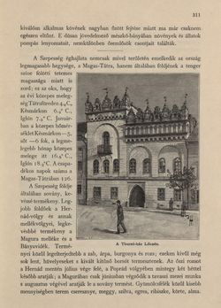 Image of the Page - 607 - in Az Osztrák-Magyar Monarchia írásban és képben - Magyarország V (II), Volume 21