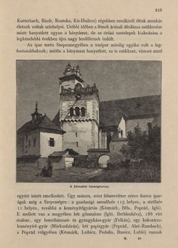 Image of the Page - 313 - in Az Osztrák-Magyar Monarchia írásban és képben - Magyarország V (II), Volume 21