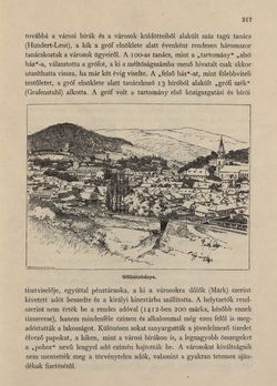 Bild der Seite - 317 - in Az Osztrák-Magyar Monarchia írásban és képben - Magyarország V (II), Band 21