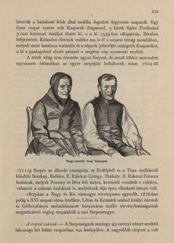 Bild der Seite - 319 - in Az Osztrák-Magyar Monarchia írásban és képben - Magyarország V (II), Band 21
