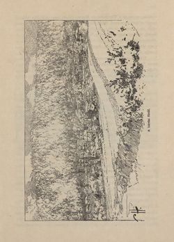 Bild der Seite - 349 - in Az Osztrák-Magyar Monarchia írásban és képben - Magyarország V (II), Band 21