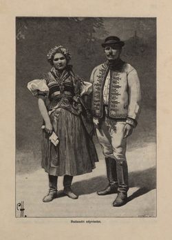 Image of the Page - 359 - in Az Osztrák-Magyar Monarchia írásban és képben - Magyarország V (II), Volume 21