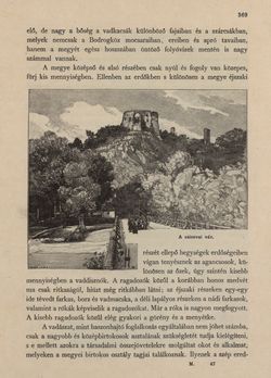 Image of the Page - 369 - in Az Osztrák-Magyar Monarchia írásban és képben - Magyarország V (II), Volume 21