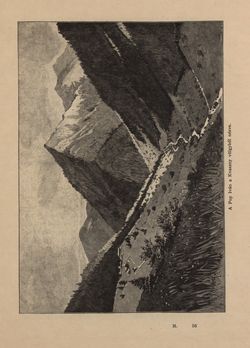 Bild der Seite - 441 - in Az Osztrák-Magyar Monarchia írásban és képben - Magyarország V (II), Band 21