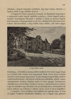 Bild der Seite - 463 - in Az Osztrák-Magyar Monarchia írásban és képben - Magyarország V (II), Band 21