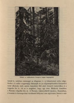 Image of the Page - 17 - in Az Osztrák-Magyar Monarchia írásban és képben - Bosznia és Hercegovina, Volume 22