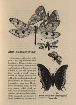 Image of the Page - 21 - in Az Osztrák-Magyar Monarchia írásban és képben - Bosznia és Hercegovina, Volume 22