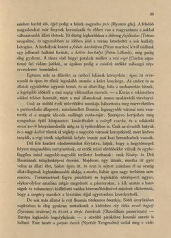 Image of the Page - 23 - in Az Osztrák-Magyar Monarchia írásban és képben - Bosznia és Hercegovina, Volume 22