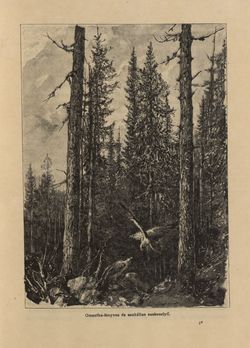 Bild der Seite - 27 - in Az Osztrák-Magyar Monarchia írásban és képben - Bosznia és Hercegovina, Band 22