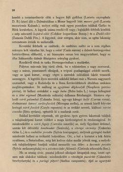 Bild der Seite - 28 - in Az Osztrák-Magyar Monarchia írásban és képben - Bosznia és Hercegovina, Band 22