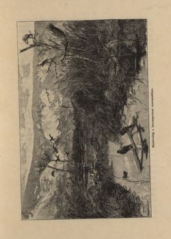 Bild der Seite - 31 - in Az Osztrák-Magyar Monarchia írásban és képben - Bosznia és Hercegovina, Band 22