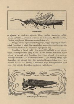 Bild der Seite - 38 - in Az Osztrák-Magyar Monarchia írásban és képben - Bosznia és Hercegovina, Band 22