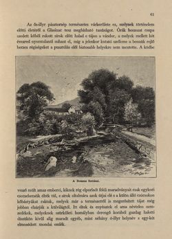 Bild der Seite - 61 - in Az Osztrák-Magyar Monarchia írásban és képben - Bosznia és Hercegovina, Band 22