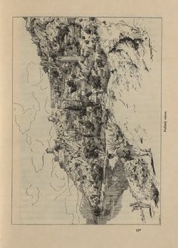 Bild der Seite - 115 - in Az Osztrák-Magyar Monarchia írásban és képben - Bosznia és Hercegovina, Band 22