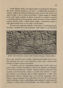 Bild der Seite - 133 - in Az Osztrák-Magyar Monarchia írásban és képben - Bosznia és Hercegovina, Band 22