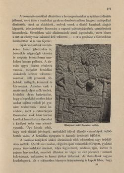 Bild der Seite - 177 - in Az Osztrák-Magyar Monarchia írásban és képben - Bosznia és Hercegovina, Band 22