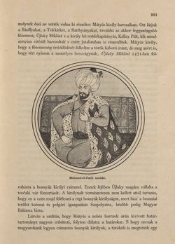 Bild der Seite - 231 - in Az Osztrák-Magyar Monarchia írásban és képben - Bosznia és Hercegovina, Band 22