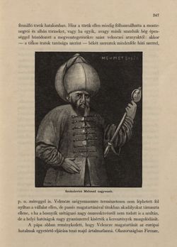 Image of the Page - 247 - in Az Osztrák-Magyar Monarchia írásban és képben - Bosznia és Hercegovina, Volume 22