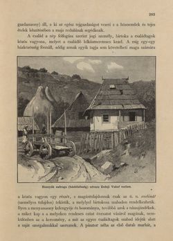 Image of the Page - 293 - in Az Osztrák-Magyar Monarchia írásban és képben - Bosznia és Hercegovina, Volume 22