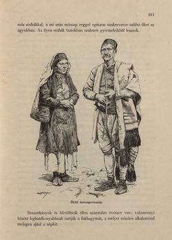 Image of the Page - 311 - in Az Osztrák-Magyar Monarchia írásban és képben - Bosznia és Hercegovina, Volume 22
