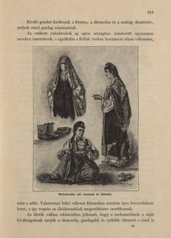 Image of the Page - 313 - in Az Osztrák-Magyar Monarchia írásban és képben - Bosznia és Hercegovina, Volume 22