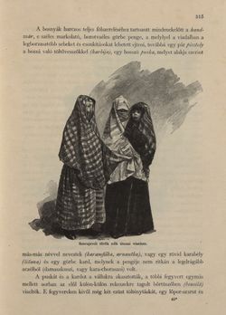 Image of the Page - 315 - in Az Osztrák-Magyar Monarchia írásban és képben - Bosznia és Hercegovina, Volume 22