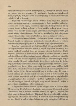 Image of the Page - 320 - in Az Osztrák-Magyar Monarchia írásban és képben - Bosznia és Hercegovina, Volume 22