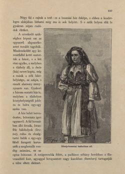 Bild der Seite - 327 - in Az Osztrák-Magyar Monarchia írásban és képben - Bosznia és Hercegovina, Band 22