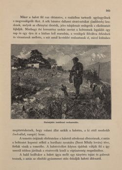 Image of the Page - 365 - in Az Osztrák-Magyar Monarchia írásban és képben - Bosznia és Hercegovina, Volume 22