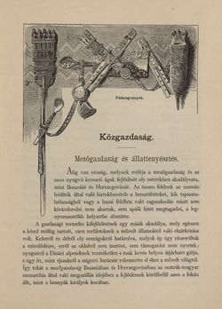 Bild der Seite - 431 - in Az Osztrák-Magyar Monarchia írásban és képben - Bosznia és Hercegovina, Band 22