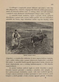 Image of the Page - 433 - in Az Osztrák-Magyar Monarchia írásban és képben - Bosznia és Hercegovina, Volume 22