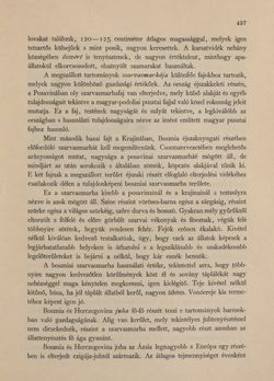 Image of the Page - 437 - in Az Osztrák-Magyar Monarchia írásban és képben - Bosznia és Hercegovina, Volume 22