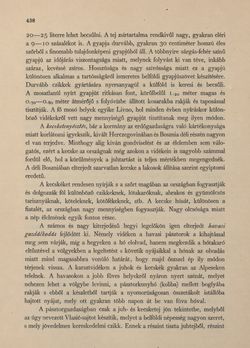 Image of the Page - 438 - in Az Osztrák-Magyar Monarchia írásban és képben - Bosznia és Hercegovina, Volume 22
