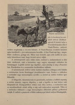 Image of the Page - 439 - in Az Osztrák-Magyar Monarchia írásban és képben - Bosznia és Hercegovina, Volume 22